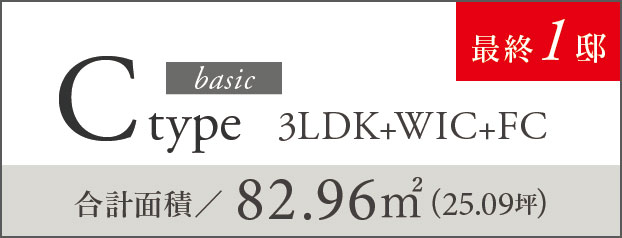 C type